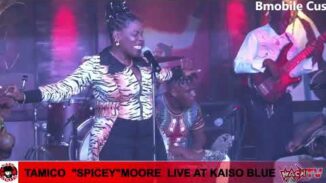 CALYPSO -TAMICO “SPICEY” MOORE 14 "CROWN DOH MAKE A KAISOIAN"