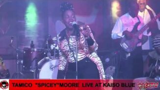 CALYPSO -TAMICO “SPICEY” MOORE 15 "THE BUSH MONARCH"