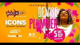 SHOW: ICONS: Denyse Plummer