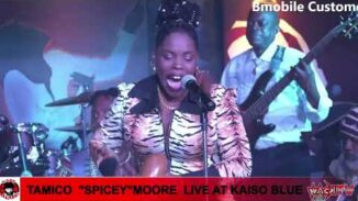 SOCA PARANG - TAMICO “SPICEY” MOORE 09 "MARIA"