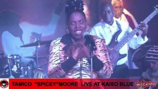 SOCA PARANG - TAMICO “SPICEY” MOORE 10 '"PARANGING ALONE"