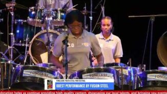 STEELPAN - FUSION STEEL 20