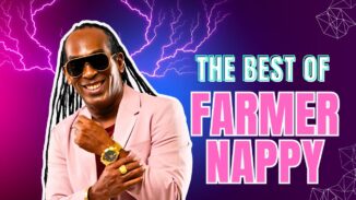 THE best of FARMER NAPPY