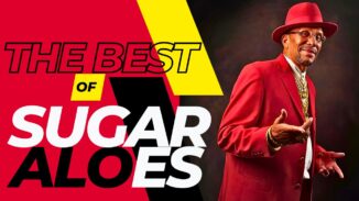 THE BEST OF SUGAR ALOES