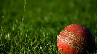File photograph: cricket ball on grass, not the Zimbabwe T20 match. Photograph date unknown.