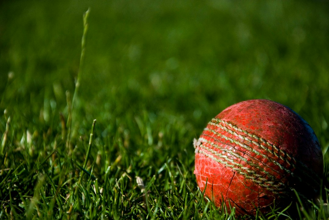 File photograph: red cricket ball; general cricket context, not equipment from the Zimbabwe T20 match. Photograph date unknown.